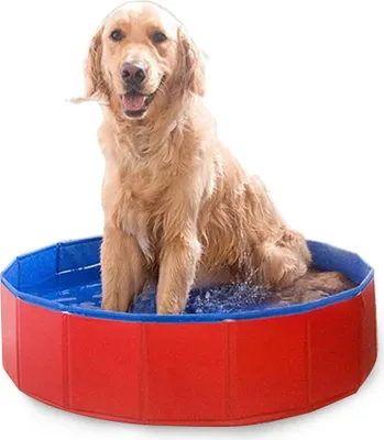 Produktbild von Hundepool 60 x 20cm, Swimmingpool, Planschbecken, Hundebadewanne, Faltbarer Pool, Badewanne Wasserbecken für Hunde