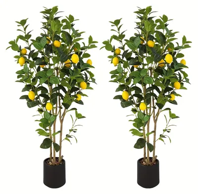 Image de Arbre artificiel en forme de citronnier - Ensemble de 2 - Hauteur : 122 cm