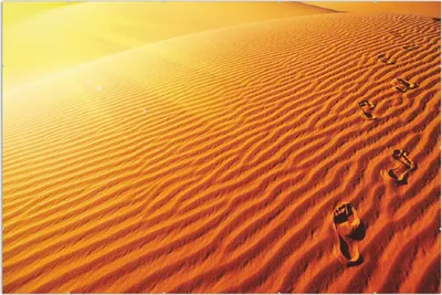 Produktbild von Wallario Wandbild Fußspuren im Sand - Sanddüne in der Wüste, Größe: 61 x 91,5 cm, Poster mit rahmenlosen Bildhalter