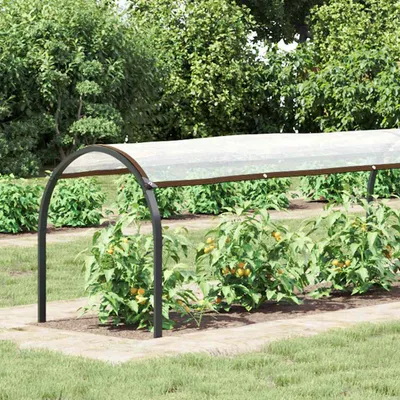 Immagine prodotto di Telone Trasparente con Occhielli 1x12 m in Polietilene
