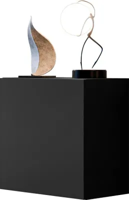 Produktbild von MIRJAN24 Vitrine Quadrat Capital, Stilvoll Wohnzimmer, Vitrine mit eins Drehtüren (Farbe: Schwarz)