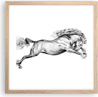 Produktbild von Gerahmtes Poster - Rahmen in heller Eiche - Pferd Zeichnung Bleistift - 40x40 cm - Wand Bild - Wanddeko - Wandbilder - Kunstposter - Wandposter - Bilderrahmen - Bilder - Kunstdruck - P2NAC40x40-4906