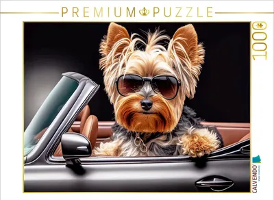 Produktbild von Calvendo Cabriotour - Foto-Puzzle', 1000 Teile, 1000 Stück(e), Tiere