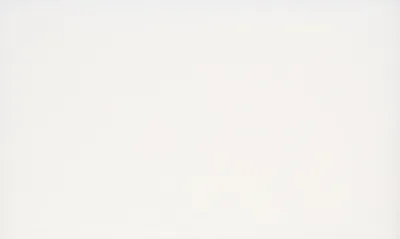A plain white background.
