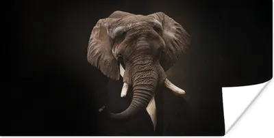 Produktbild von MuchoWow® Poster Elefant - Kunst - Alte Meister 80x40 cm - Wanddeko