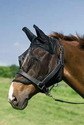 Produktbild von Equi-Theme Fliegenmaske feine Netzmaschen mit Ohren Fliegenschutz mit Ohren