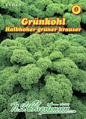 Produktbild von Grünkohl Halbhoher grüner Krauser | Grünkohlsamen von N.L. Chrestensen