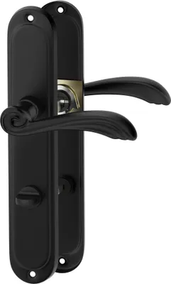 A black door handle set on a white background.