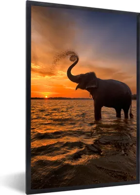 Produktbild von MuchoWow® Gerahmtes Poster Elefant - Meer - Tiere - Sonnenuntergang - Orange 60x90 cm - Poster mit Schwarzem Bilderrahmen Wandposter Rahmen Foto Bilder - Kunst