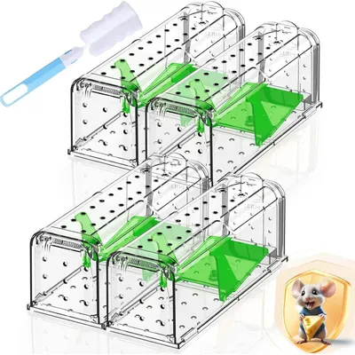 Produktbild von Lebendfalle für Mäuse, tierfreundlich, 4er Set, Grün