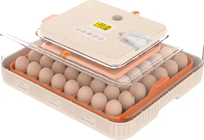 Zdjęcie produktu dla Inkubator do jaj, funkcja automatycznego obracania jaj, cyfrowa kontrola temperatury, 56 jaj