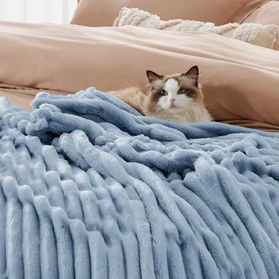 Immagine prodotto di Unyqoos® Plaid: coperta morbida e lussuosa per la casa, realizzata in microfibra di alta qualità (flanella), dimensioni 220 x 240 cm, colore azzurro chiaro, ideale per soggiorno e camera da letto