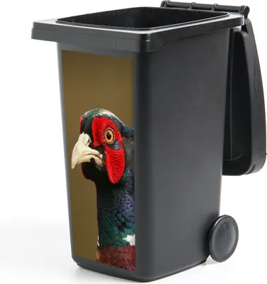 Produktbild von MuchoWow® Mülltonnenaufkleber Fasan - Porträt - Tiere 38x80 cm - Behälteraufkleber - Mülleimer-Aufkleber - Container-Aufkleber