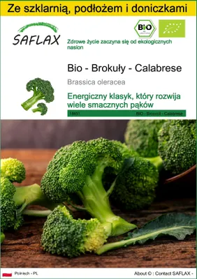 Zdjęcie produktu dla SAFLAX - Zestaw do uprawy - Bio - Brokuły - Calabrese - 100 Nasiona - Z mini szklarnią, podłożem uprawowym i 2 doniczkami - Brassica oleracea