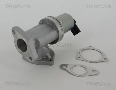 Obrázok produktu pre TRISCAN EGR ventil 2-pólový s tesneniami (8813 43002) pre Hyundai Tucson Santa