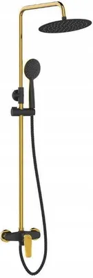 A black and gold shower fixture with a handheld shower head and a rain shower head.