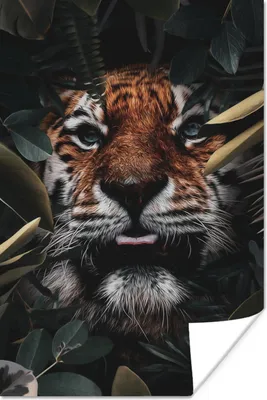 Produktbild von MuchoWow® Poster Tiger - Nahaufnahme - Pflanzen 120x180 cm - Kunstposter