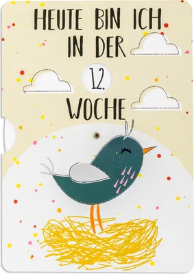 Produktbild von Friendly Fox Meilensteinkarte Schwangerschaft, 1x DIN A5 Fotokarte Heute bin ich, Geschenk für Schwangere, Babybauch Foto