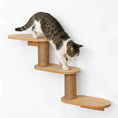 Image de Mur d'escalade pour chats en bois naturel, avec étagères en jute et griffoir