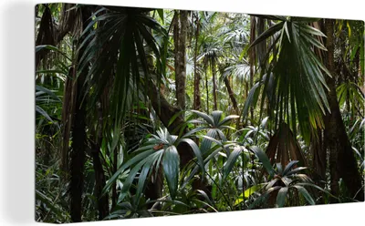 Produktbild von MuchoWow® - Leinwandbilder - Pflanzen im Regenwald, Wandbild, Wanddeko Bilder Wohnzimmer, 80x40 cm