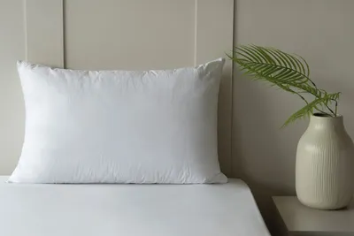 Obrázek produktu pro Belledorm - Polštář, australská vlna BM520 (75 cm x 48 cm) (bílý)