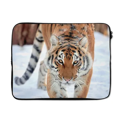 Produktbild von MuchoWow® Laptop Hülle 17 Zoll Laptoptasche Tiger - Schnee - Tiere - Zipper - Schutzabdeckung