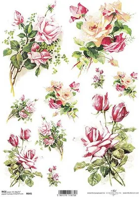 Zdjęcie produktu dla Papier ryżowy do decoupage A4 ITD-R645 róże