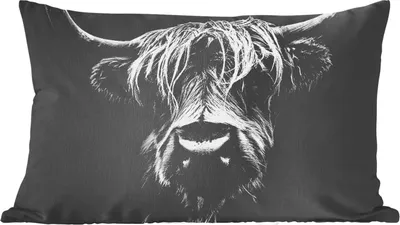 Produktbild von MuchoWow® Zierkissen Sofakissen Wohnzimmer Dekokissen 50x30 cm Schottisches Hochlandrind - Hörner - Schwarz - Weiß - Kuh - Wild - Tiere - Wohnzimmerdekoration - Polster mit Photo