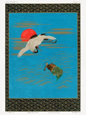 Produktbild von Plakat 30x40cm Fliegender Indischer Kranich, G.A. Audsley für das Wohnzimmer