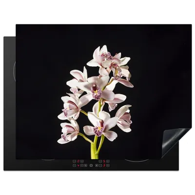 Produktbild von KitchenYeah© Herdabdeckplatte Eine weiße Orchidee vor schwarzem Hintergrund , 77x59cm, Küche Deko, Glaskeramikkochfeld Herdabdeckung, Abdeckplatte fùr Kochfeld
