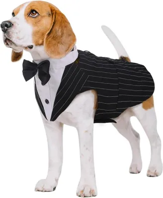 Produktbild von Hund Smoking Anzug Bandana Set Haustier Fomal Kleidung Hundeanzug Kostüm Shirt