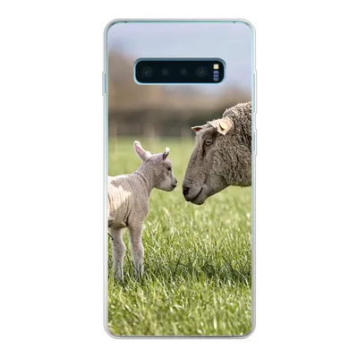 Produktbild von MuchoWow® Handyhülle Schutzhülle Hülle für Samsung Galaxy S10 Lite Schafe - Gras - Lamm Silikon Softcase Handy Hülle - Schutz