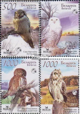 Produktbild von Briefmarken Weißrussland 2007 Mi 672-675 (kompl.Ausg.) postfrisch Eulen