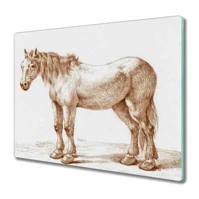 Produktbild von Coloray Schneidebrett Herdabdeckplatte 60x52 cm Kochplattenabdeckung Küchenbrett Hackbrett - Zugpferd
