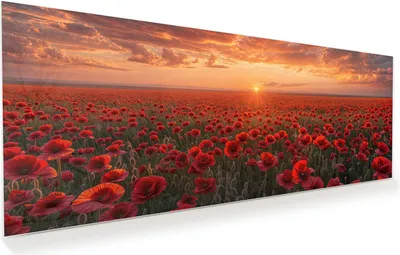 Produktbild von Glasbild 125x50cm in XXL für Wohnzimmer, Schlafzimmer Motiv Mohnfeld Sonnenuntergang