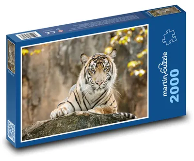 Obrázok produktu pre martinpuzzle - Puzzle 2000 - Tiger