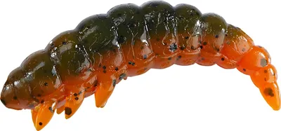 Produktbild von Balzer Gummilarve Bazillus (Green Pumpkin Amber Red)