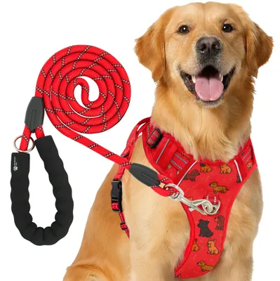 Produktbild von Reichstadt  RS Pets Hundegeschirr & Leinen Set 25RSP083-4 Puppy Love Red S