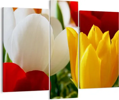 Produktbild von Bild auf Leinwand - Leinwandbild - Tulpen Vase Blumenstrauß - 95x80cm - Wand Bild - Wanddeko - Leinwanddruck - Bilder - Kunstdruck - Wanddekoration - Leinwand bilder - Wandkunst - CB95x80-1366