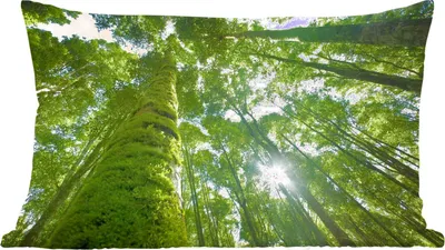 Produktbild von MuchoWow® Zierkissen Sofakissen Wohnzimmer Dekokissen 60x40 cm Tropischer Dschungel in Asien - Kopfkissen - Polster mit Foto