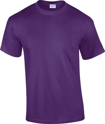 Image de Gildan - T-shirt pour homme PC6403 (M) (Violet)