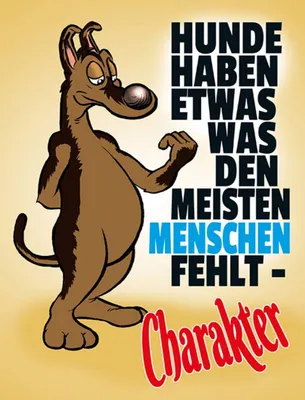 Produktbild von vianmo Holzschild 40x30 cm Hunde haben Charakter