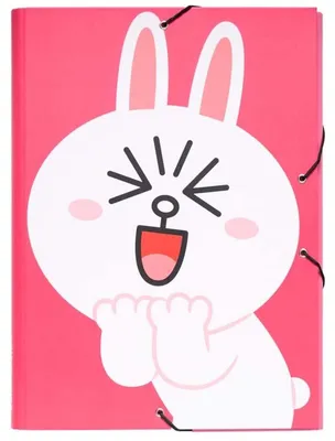 Obrázok produktu pre Skladací zakladač Line Friends