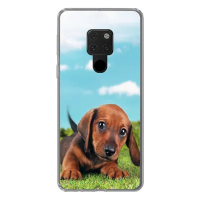 Produktbild von MuchoWow® Handyhülle Schutzhülle Hülle für Huawei P40 Lite Schöner Himmel über einem niedlichen Dackelwelpen Silikon Softcase Handy Hülle - Handy