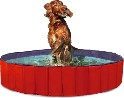 Produktbild von Karlie Doggy Pool - Hundespielzeug - PVC - Rot/Blau - 120x120x30 cm