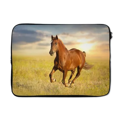 Produktbild von MuchoWow® Laptop Hülle 14 ZollPferd - Sonne - Gras - Tier Laptoptasche - Laptoptasche - Stoßsicher - Schutzhaube