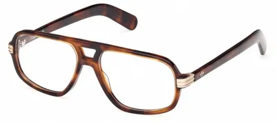 Produktbild von Adidas Originals OR5105 Dark havana 55/15/145 Herren Brillen