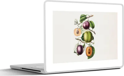 Produktbild von MuchoWow® Laptop Aufkleber Sticker Cover Lebensmittel - Obst - Pfirsich 31x22.5 cm - Laptop-Deko