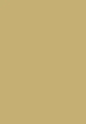 Produktbild von Fotokarton 300g/qm 70x100cm gold matt Packung mit 10 Stück