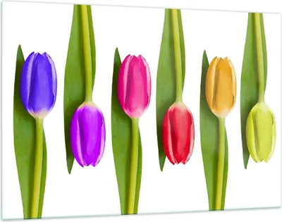Produktbild von Bilder auf glas - Tulpe Blume Garten Komposition - 120x80cm - Glasbilder - Wandbilder - Kunstdruck - zum Aufhängen bereit - Wanddekoration aus Glas - Glas Bilder - Wandbild auf Glas - GAA120x80-2360